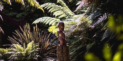 Rotorua - Île du Nord - Nouvelle-Zélande