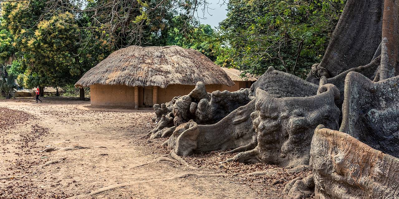 Fromager à Mlomp - Casamance - Sénégal