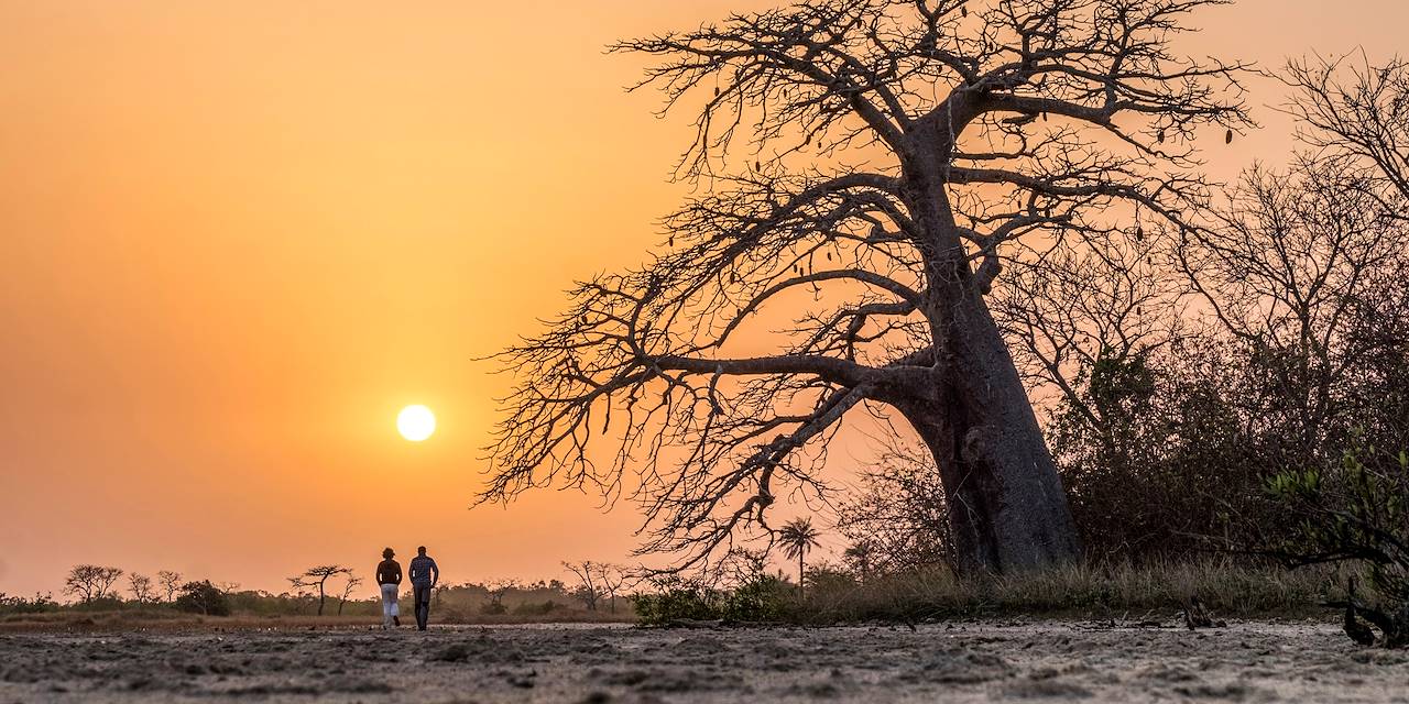 Coucher de soleil dans la réserve de Kalissaye  - Casamance - Sénégal