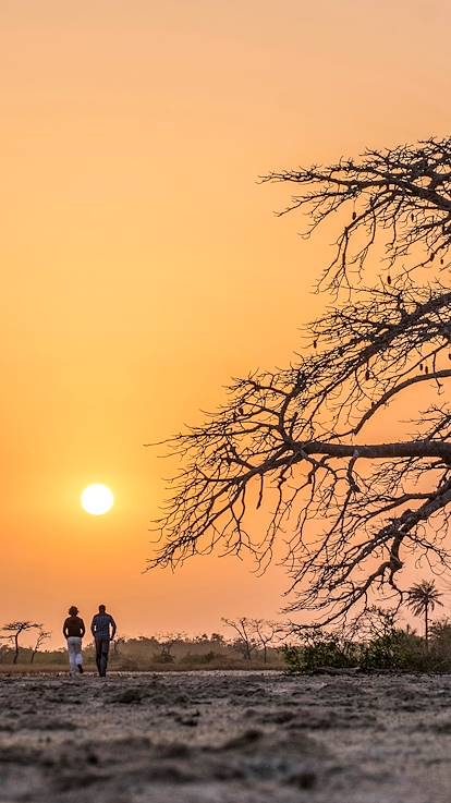 Coucher de soleil dans la réserve de Kalissaye  - Casamance - Sénégal