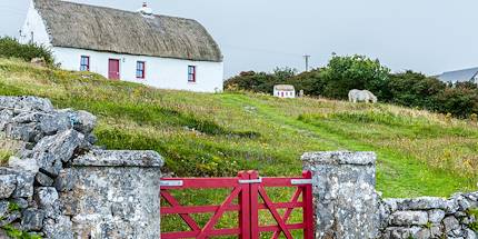 Cottage - Irlande
