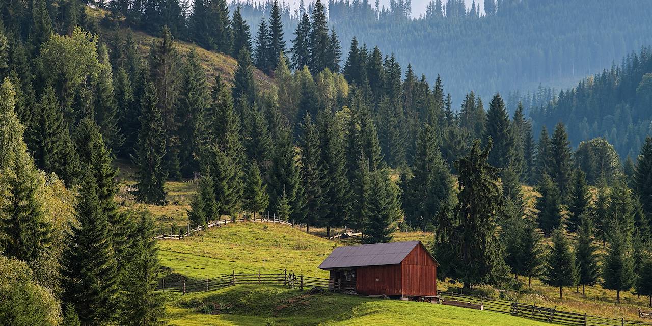 Paysage des Carpates - Roumanie