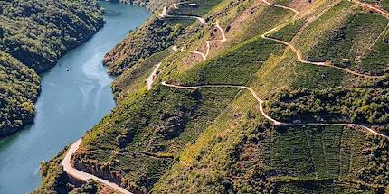 Gorges de Sil - Ourense - Galice - Espagne