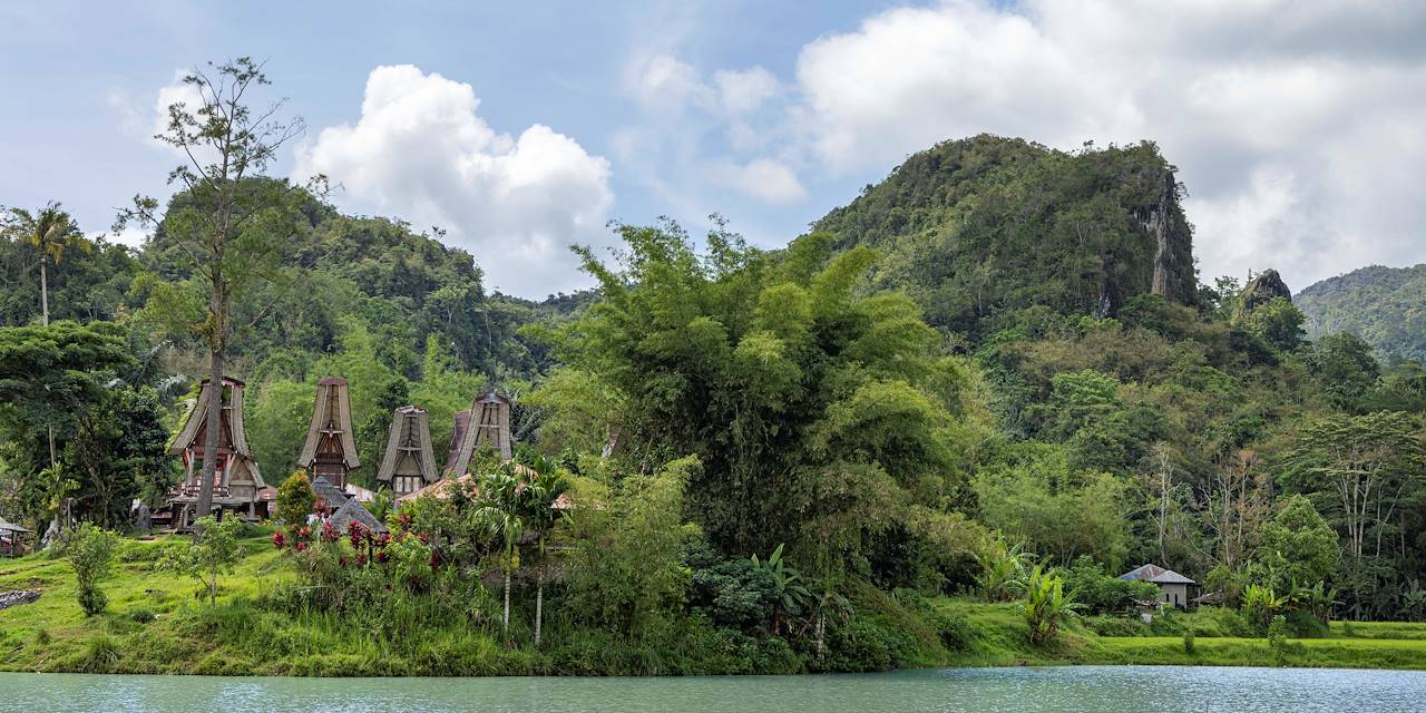 Pays des Toraja : Tongkonan, maisons traditionnelles - Région de Rantepao - Célèbes - Indonésie