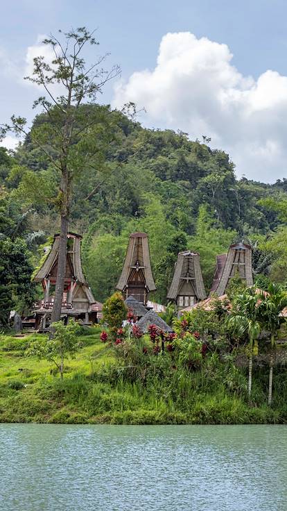Pays des Toraja : Tongkonan, maisons traditionnelles - Région de Rantepao - Célèbes - Indonésie
