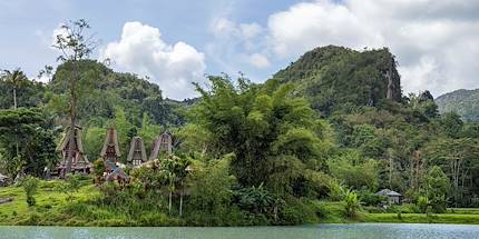 Pays des Toraja : Tongkonan, maisons traditionnelles - Région de Rantepao - Célèbes - Indonésie