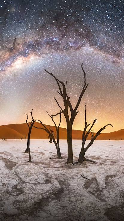 Voie lactée au dessus de Deadvlei dans le parc national du Namib - Namibie
