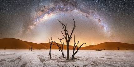 Voie lactée au dessus de Deadvlei dans le parc national du Namib - Namibie