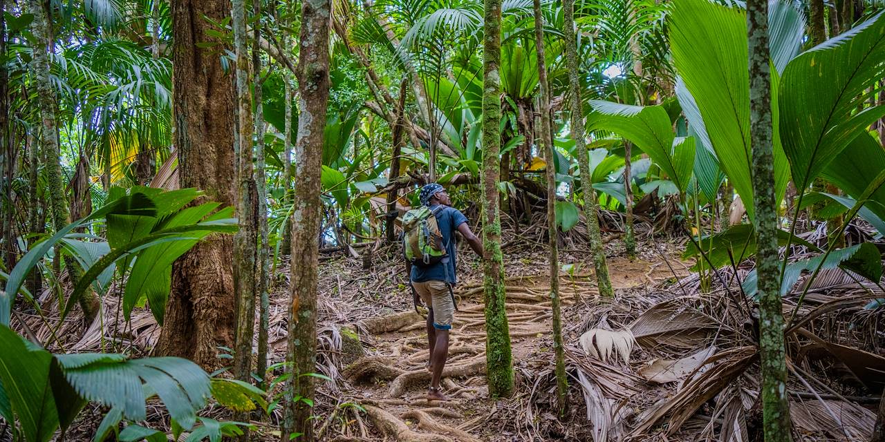 Randonnée du Glacis Noir sur l'île de Praslin - Seychelles