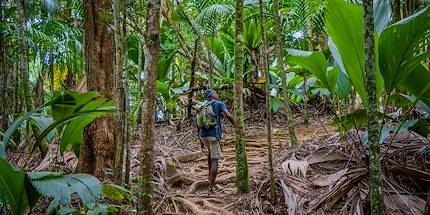 Randonnée du Glacis Noir sur l'île de Praslin - Seychelles