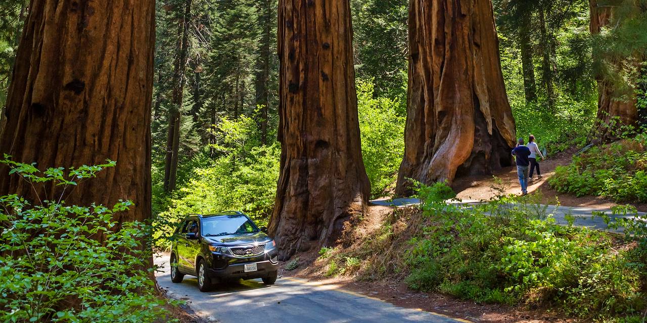 Parc national de Sequoia - Californie - Etats-Unis