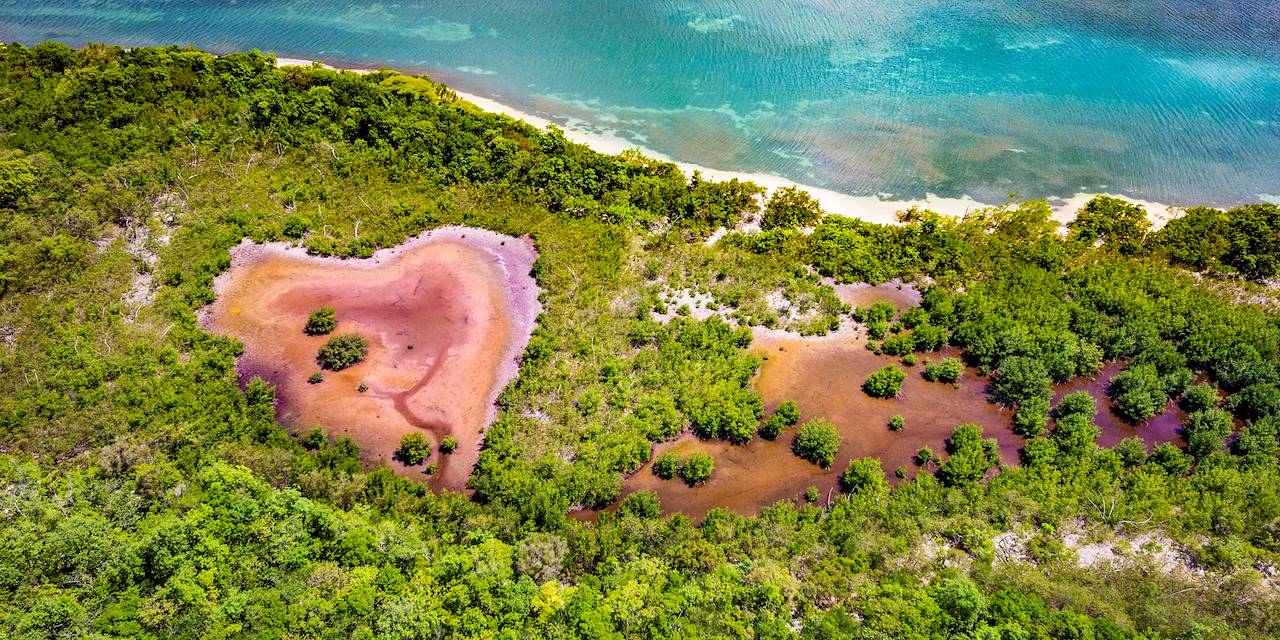 Anse du Gris-Gris - Grand Cul-de-Sac marin - Guadeloupe