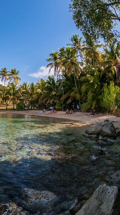 Plage de Pain de Sucre - Terre de Haut - Archipel des Saintes - Guadeloupe