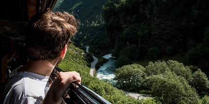 À bord du train Flamsbana - Norvège