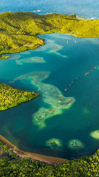 Vue aérienne de la Presqu'Île de la Caravelle - Martinique