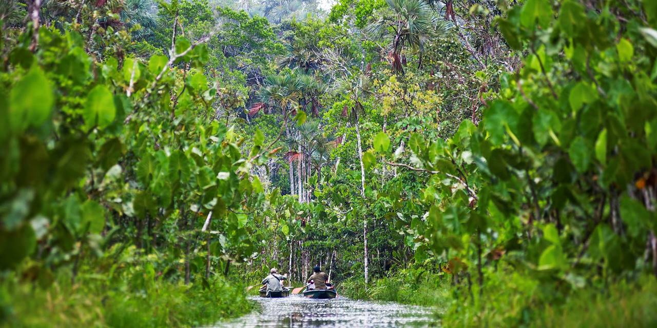 Découverte de la forêt amazonienne en pirogue - Equateur