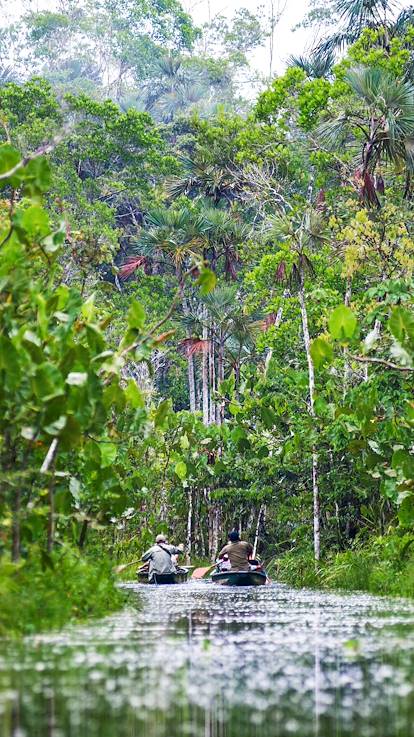 Découverte de la forêt amazonienne en pirogue - Equateur