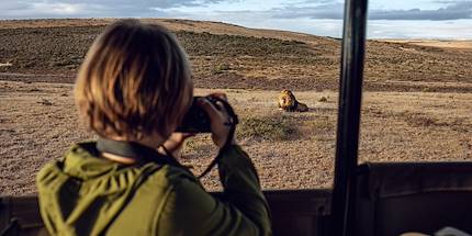 Safari en famille en Afrique du Sud