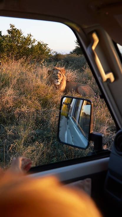 Safari en famille au Botswana