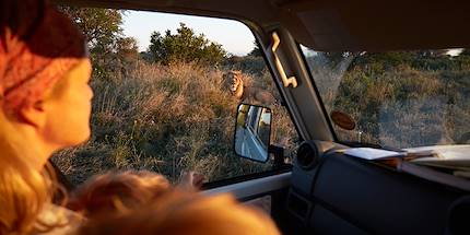 Safari en famille au Botswana