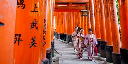 Torii du sanctuaire Fushimi Inari-Taisha - Kyoto - Japon