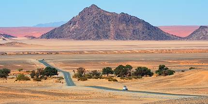 Parc national de Namib-Naukluft - Namibie