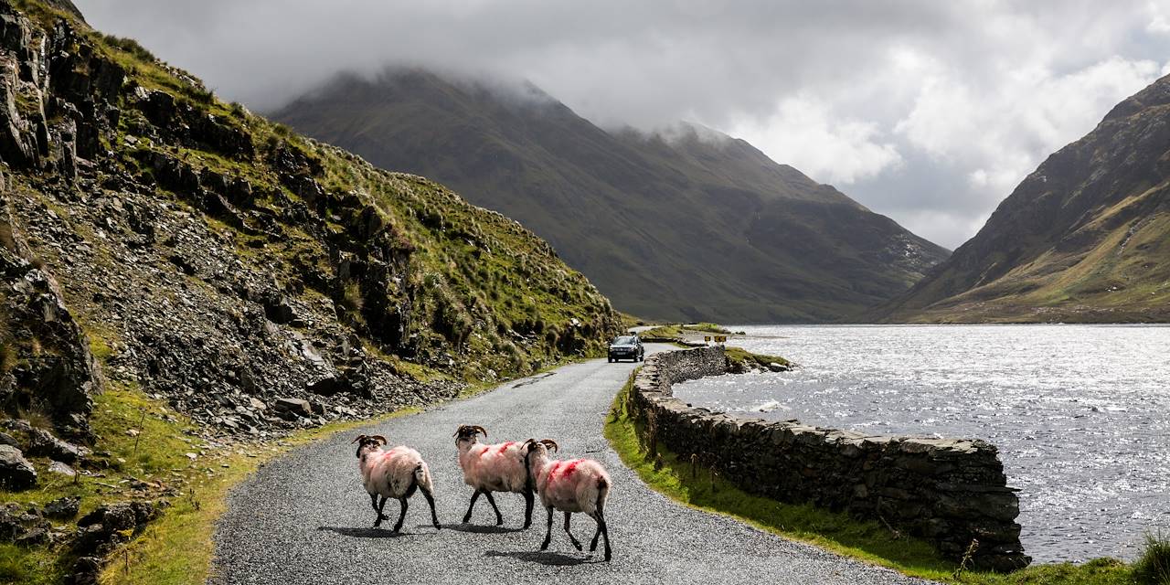 Paysage du Comté de Mayo - Doolough - Comté de Mayo - Connemara - Irlande
