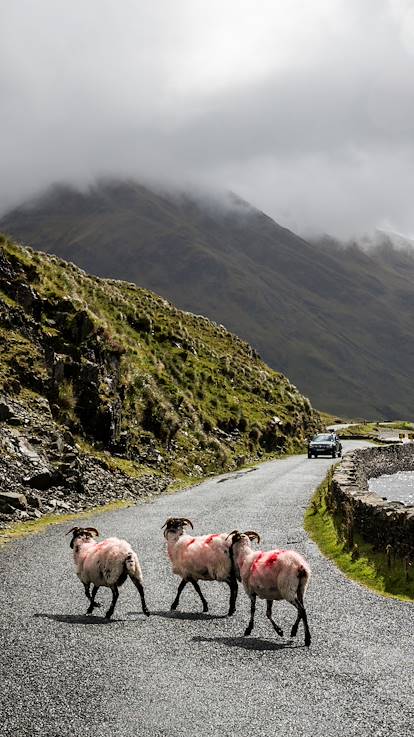 Paysage du Comté de Mayo - Doolough - Comté de Mayo - Connemara - Irlande