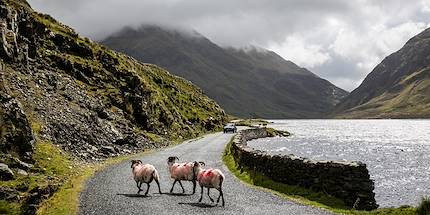 Paysage du Comté de Mayo - Doolough - Comté de Mayo - Connemara - Irlande