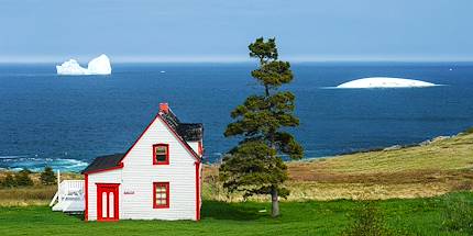 Icebergs et paysages côtiers en Terre-Neuve-et-Labrador - Canada