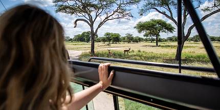 Safari dans le Parc National du Ruaha - Tanzanie