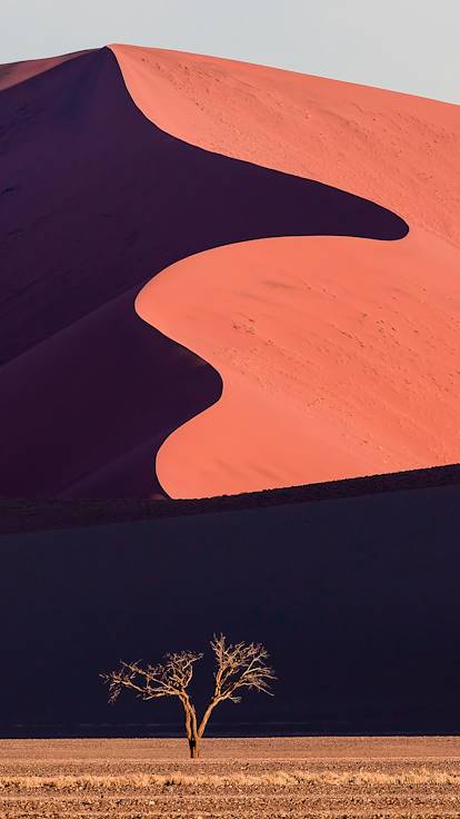 Dune dans le désert du Namib - Namibie