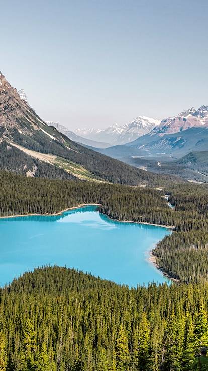 Lac Peyto - Parc national de Banff - Alberta - Canada