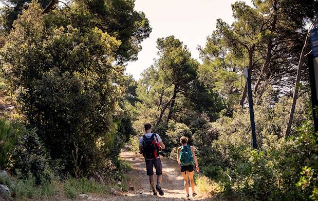 Randonnée dans le Parc National de Mljet - Croatie