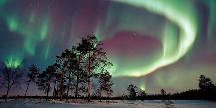 Aurores boréales en Laponie - Finlande