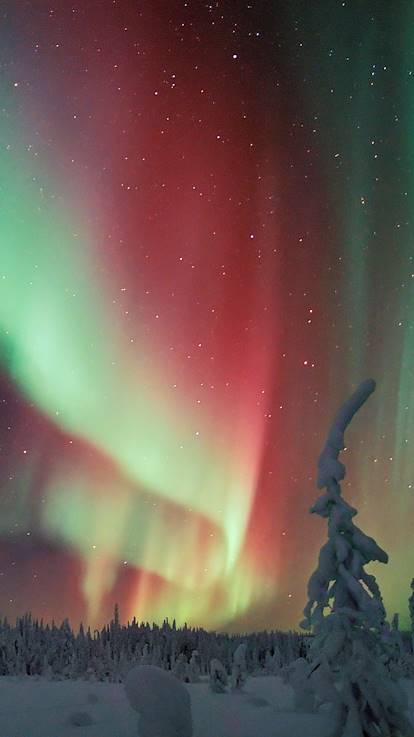 Observer les aurores boréales - Laponie - Finlande