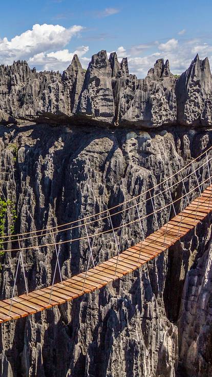 Pont de singe au parc national tsingy de Bemaraha - Madagascar