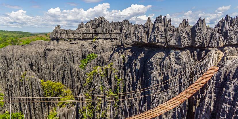 Pont de singe au parc national tsingy de Bemaraha - Madagascar