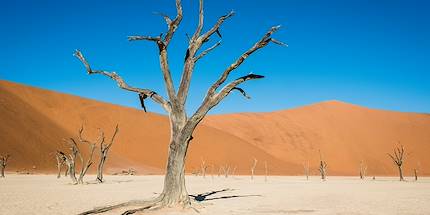 Désert de Sossusvlei - Désert du Namib - Namib Naukluft - Namibie