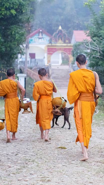 Défilé des moines pour l'offrande traditionnelle des fidèles - Muang Ngoi - Laos