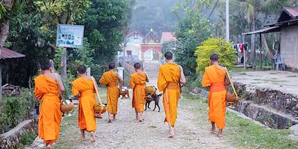 Défilé des moines pour l'offrande traditionnelle des fidèles - Muang Ngoi - Laos