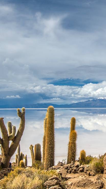Île Incahuasi - Salar de Uyuni - Bolivie 
